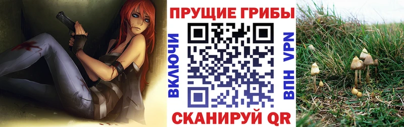 Купить закладки  Острогожск  Псилоцибиновые грибы GOLDEN TEACHER 
