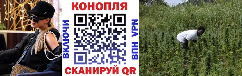 Купить закладки  Острогожск  Марихуана LSD WEED 